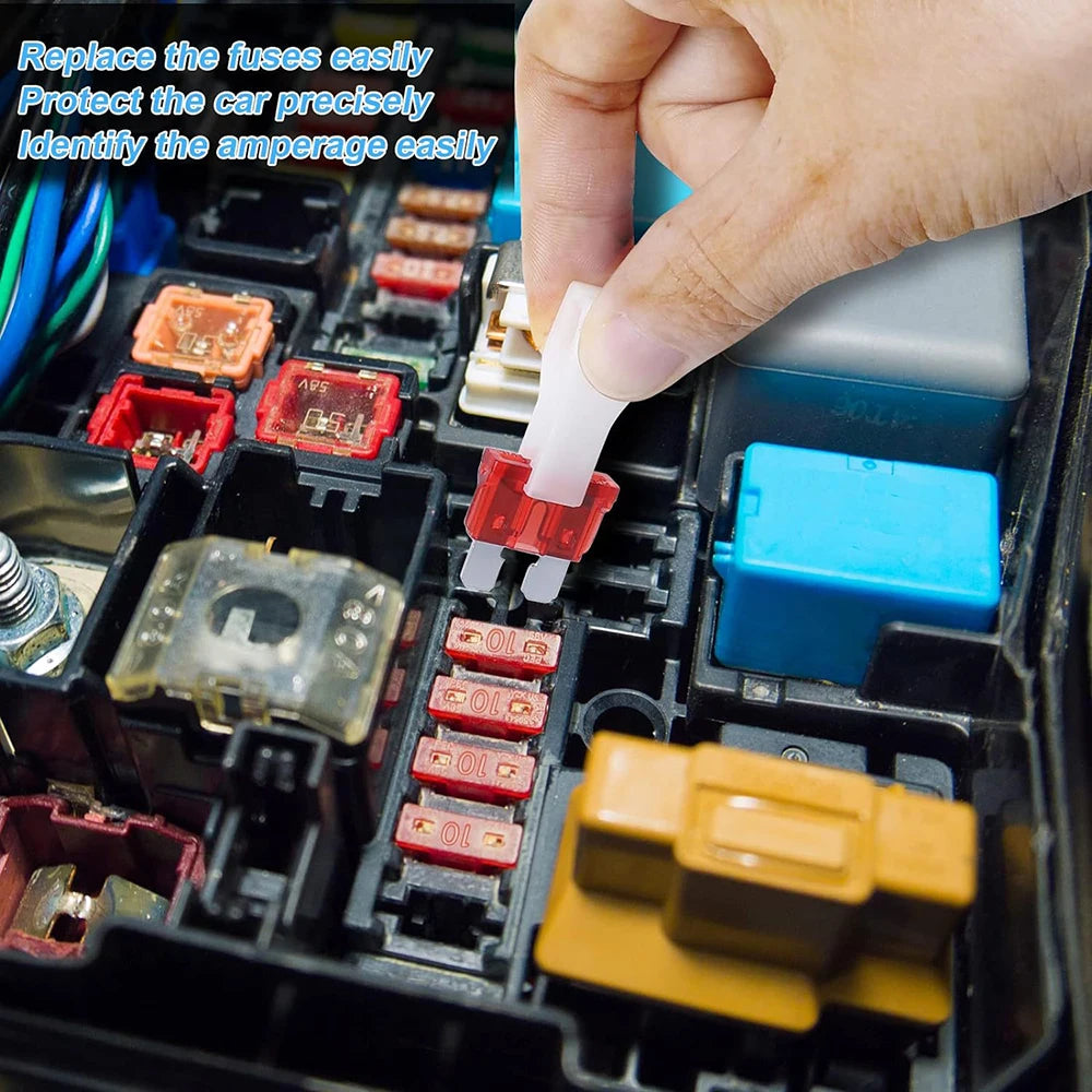 Standard Car Fuses Assorted Kit